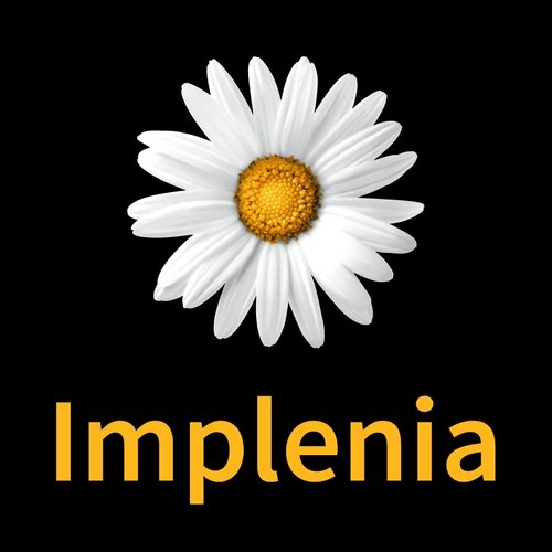 Implenia Partnerportal